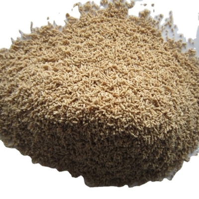 1 kg di zuppa secca a caldo 500g*2/1Kg di condimenti Hondashi nelle Filippine