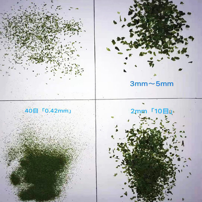 Alghe marine secche Lavar verde Aonori Ulva Lactuca in polvere Elevare il vostro gioco di cottura o zuppa