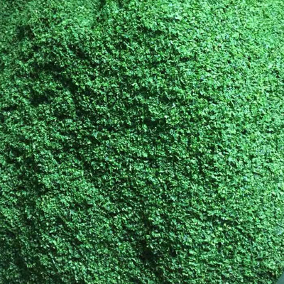 Alghe marine secche Lavar verde Aonori Ulva Lactuca in polvere Elevare il vostro gioco di cottura o zuppa