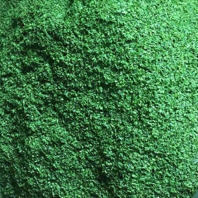 Cibo ricco di fibre alghe secche lavanda verde Aonori Ulva Lactuca in polvere Formaggio o zuppa
