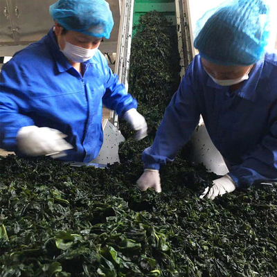 3 cm di lunghezza Verdure disidratate Wakame secco Laver per fast food 20 kg imballaggio alla rinfusa