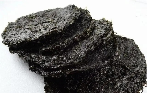 Il segreto meglio custodito della varietà Laver Porphyra Haitanensis ALGE MARIANA per ingredienti da cucinare