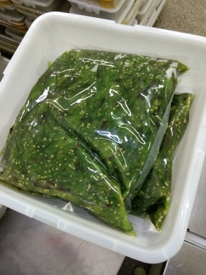 1 kg di Hiyashi Wakame stile congelato Chuka Wakame insalate di alghe Giappone stile congelato
