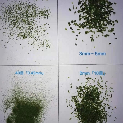 AOSA Aonori Ulva Flakes trasformati conditi e secchi con ingredienti normali