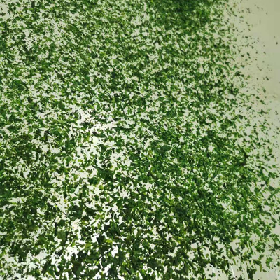 AOSA Aonori Ulva Flakes trasformati conditi e secchi con ingredienti normali