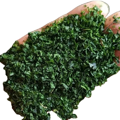Prendi i fiocchi di alghe secche AOSA Aonori per il tuo cibo sushi Un ingrediente indispensabile