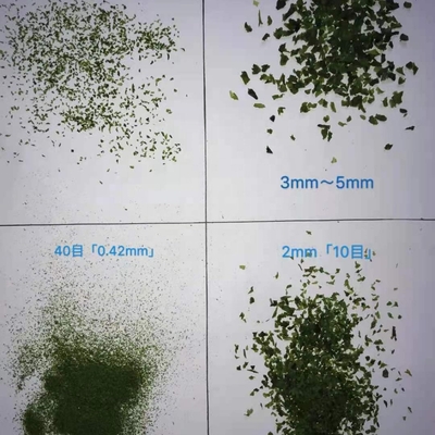 Fiocchi di Aonori essiccati a caldo Foglie verdi per irresistibili spuntini di alghe filippine
