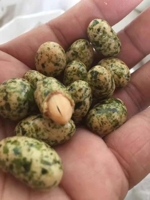 Fiocchi di Aonori essiccati a caldo Foglie verdi per irresistibili spuntini di alghe filippine