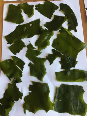 Ingredienti normali Varietà di lavanda Alghe secche tagliate Wakame per il mercato cinese dei frutti di mare