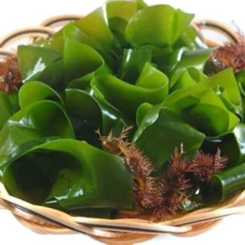 Tipo di conservazione Normale 500g Chuka Wakame Alghe secche tagliate Wakame