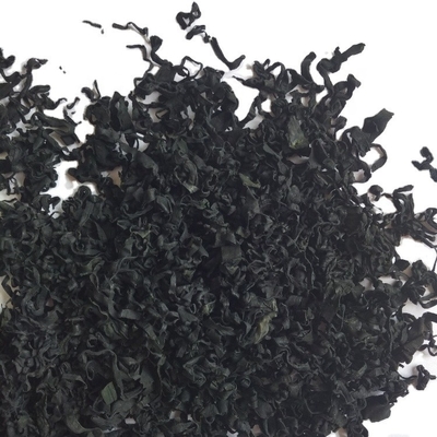 Tipo di conservazione Normale 500g Chuka Wakame Alghe secche tagliate Wakame