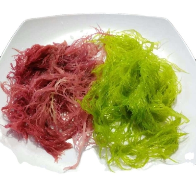 Alghe secche congelate Tosaka in stile rosso-verde aromatizzate condite