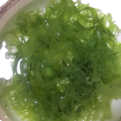 Alghe secche congelate Tosaka in stile rosso-verde aromatizzate condite