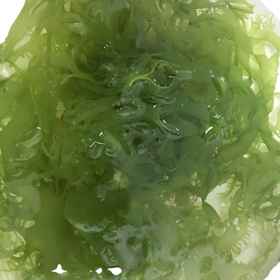 Alghe secche congelate Tosaka in stile rosso-verde aromatizzate condite