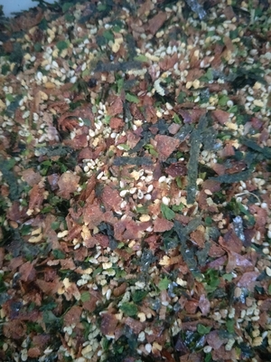 Autentica miscela di sesamo di alghe secche giapponesi Furikake Bonito Nori Komi in polvere