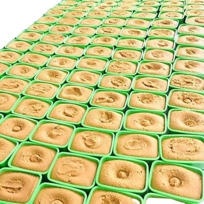 Forma Pastina scura Shiro Miso Pasta per piatti salati Stile giapponese Salsa Pasta di soia