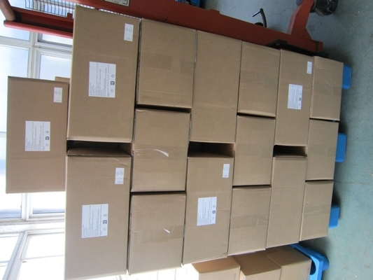1 kg di zuppa secca a caldo 500g*2/1Kg di condimenti Hondashi nelle Filippine