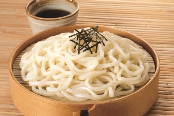 FROZEN Udon Noodles con grano saraceno stile tradizionale giapponese