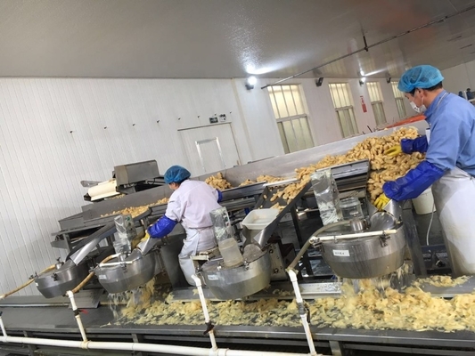 Processo con aceto Sushi in aceto bianco rosa giapponese Zenzero per coltivazione all'aria aperta Tipo