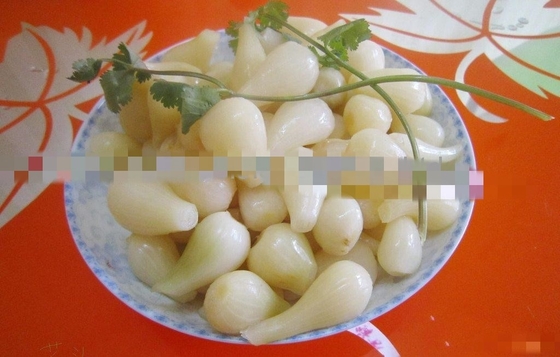 Condimento in salamoia Cina Cipolla bulbosa Rakkyo Conservazione NORMAL CONDITIONAL Sapore piccante