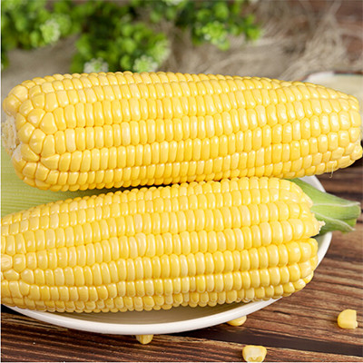 20 kg di cereali freschi di peso di 20 kg di cereali di peso di 20 kg di cereali freschi di 20 kg di cereali di peso di 20 kg di cereali di peso di 20 kg di cereali di peso di 20 kg di cereali di peso di 20 kg di cereali di peso di 20 kg di cereali di peso di 20 kg di cereali di peso di 20 kg di cereali di peso di 20 kg di cereali di peso di 20 kg di cereali di peso di 20 kg di cereali di peso di 20 kg di cereali di peso di 20 kg di cereali di peso di 20 kg di cereali di peso di 20 kg di cereali