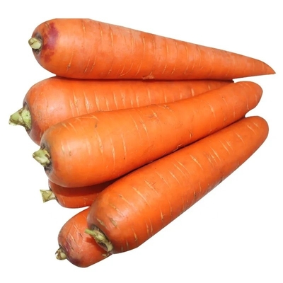 4 kg di carote naturali verdure fresche