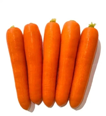 4 kg di carote naturali verdure fresche