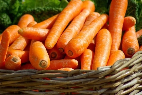 4 kg di carote naturali verdure fresche