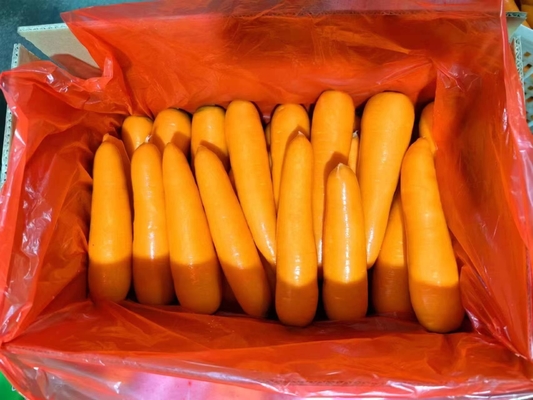 4 kg di carote naturali verdure fresche