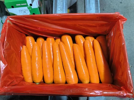 4 kg di carote naturali verdure fresche