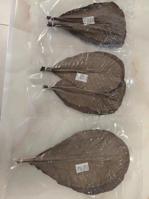 Servire sushi con involucri di foglie di bambù fresche e naturali NON è necessario indirizzo