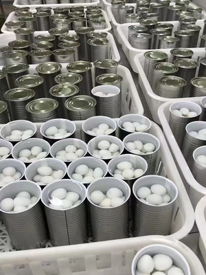 425 g di uova di quaglia cotte in scatola per i clienti di SHANDONG