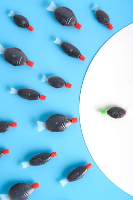 Sushi Halal mini a forma di pesce, salsa di soia al 100% di purezza