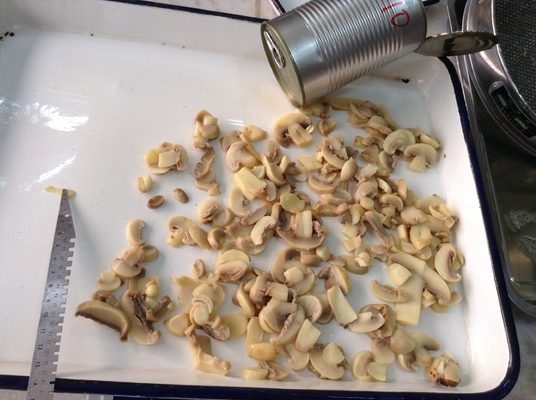 Funghi in scatola di 130 g dal Marocco per le vostre esigenze