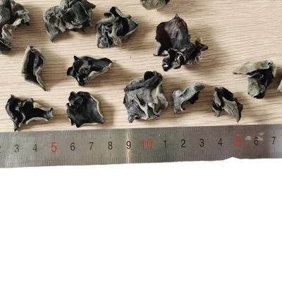 Tipologia di conservazione Funghi neri essiccati coltivati per la medicina tradizionale cinese