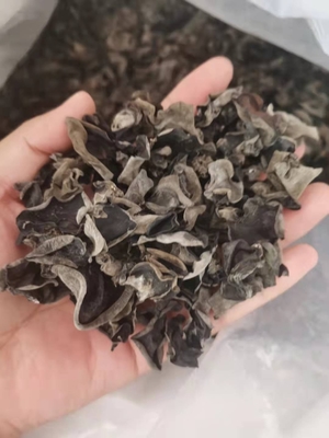 Tipologia di conservazione Funghi neri essiccati coltivati per la medicina tradizionale cinese