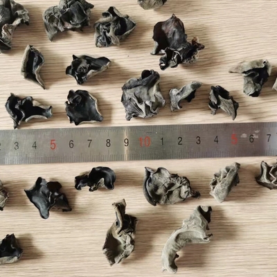 Tipo di immagazzinamento essiccato a freddo Funghi neri essiccati biologici a sfera 4-5 cm provenienti dall'India e dal Marocco