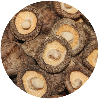 Estratto di funghi di criniera di leone marrone Funghi di shiitake secchi 1 kg/sacco