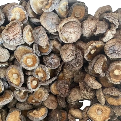Estratto di funghi di criniera di leone marrone Funghi di shiitake secchi 1 kg/sacco